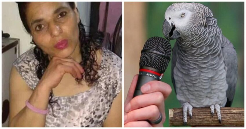В Аргентине главным свидетелем в деле об убийстве выступил попугай
