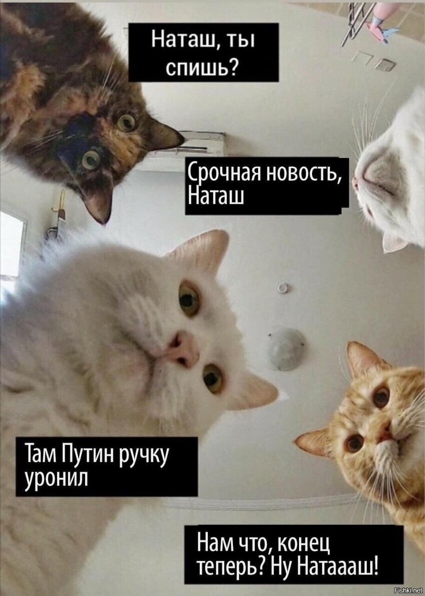 не, ну а чё он так