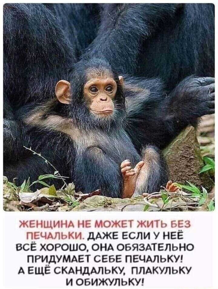 Смешные картинки и не очень