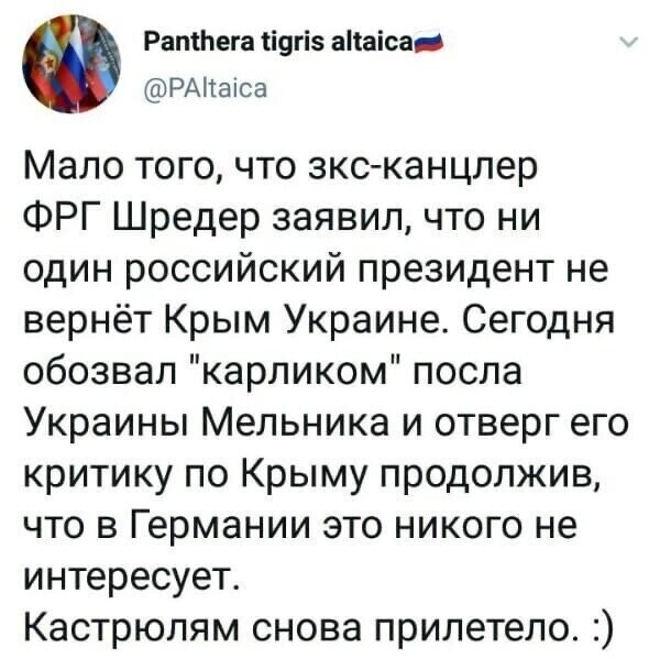 Политические комментарии из инета