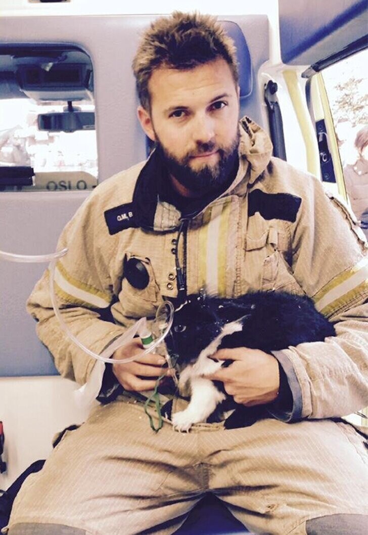 Норвежский пожарный надел кислородную маску на кролика, спасенного из горящей квартиры.