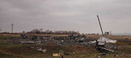 Объективное расследование катастрофы MH17 приведет на Украину