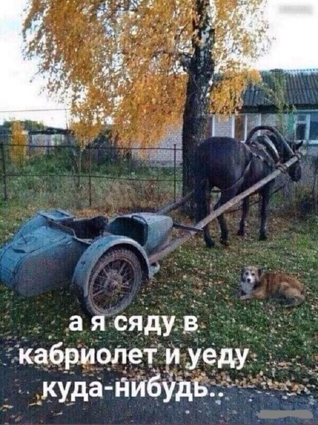 Смешные картинки