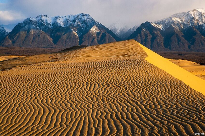 Чарские пески - пустыня в Сибири