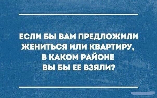 Смешные картинки от Чёрный кот за 31 мая 2020