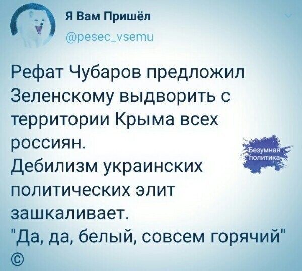 Политические комментарии из инета