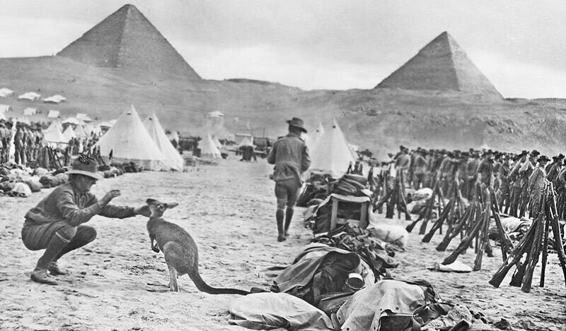 Личный Его императорского величества принца Кирну имперский кенгуру 9–го и 10–го австралийских батальонов, декабрь 1914–го, Египет.