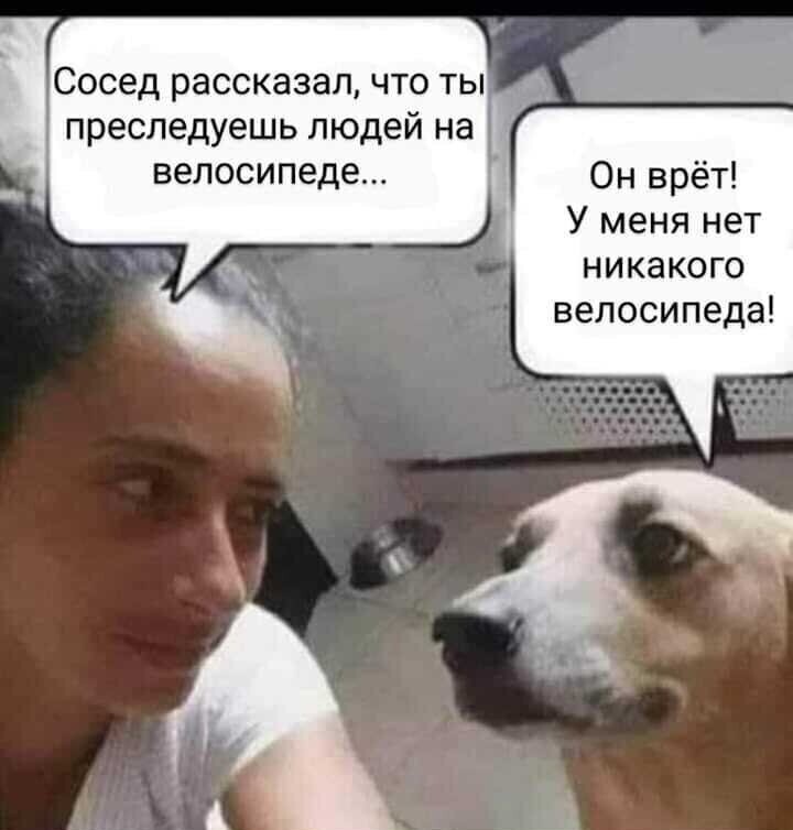 Смешные картинки и не очень