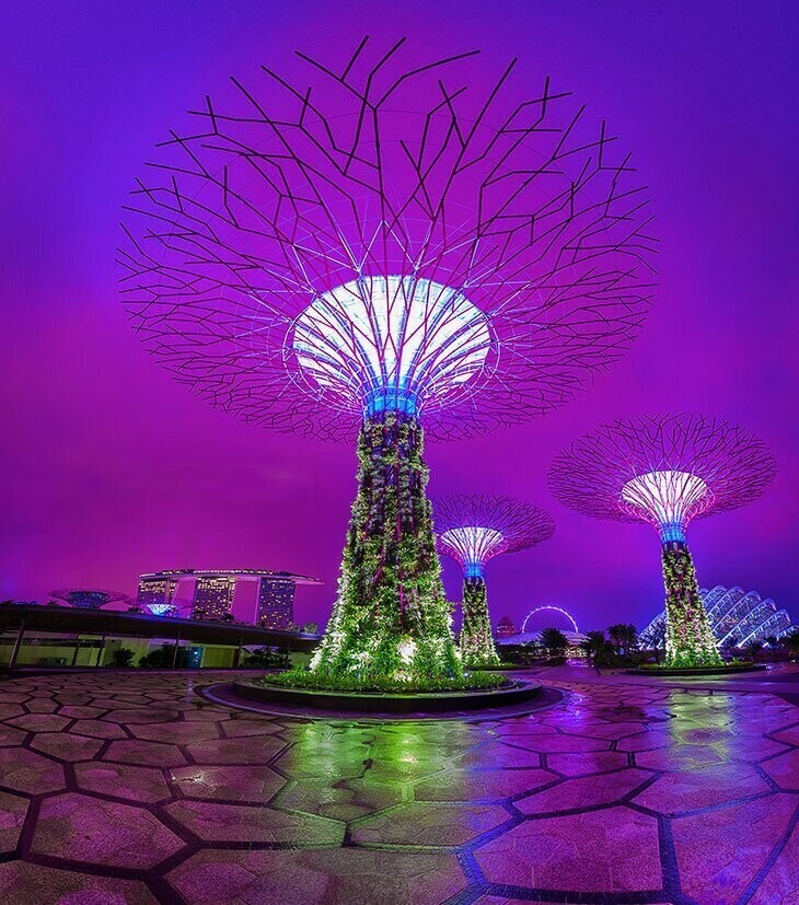 Gardens by the Bay: футуристические прибрежные сады в Сингапуре