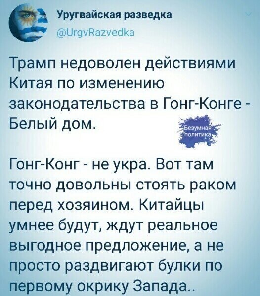 Политические комментарии из инета