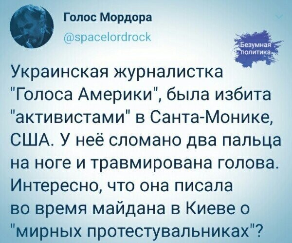 Политические комментарии из инета
