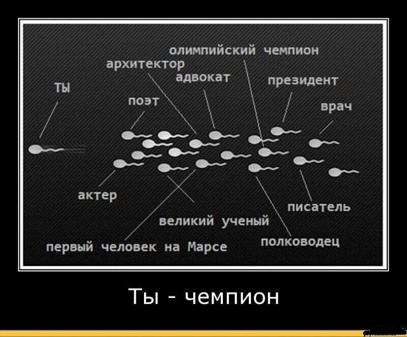 Смешные картинки от Чёрный кот за 04 июня 2020