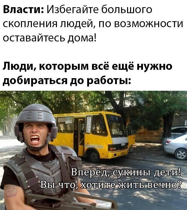 На злобу дня