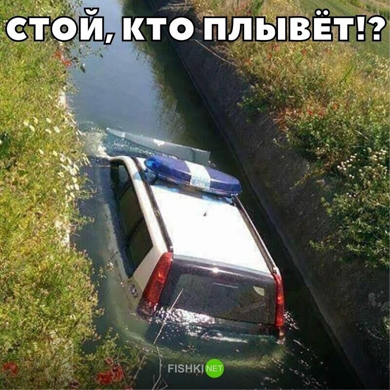 Стой, кто плывет!?