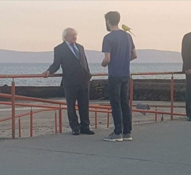 4. Президент Ирландии, разговаривающий с жителем и его попугаем. Никакой охраны рядом с парнем