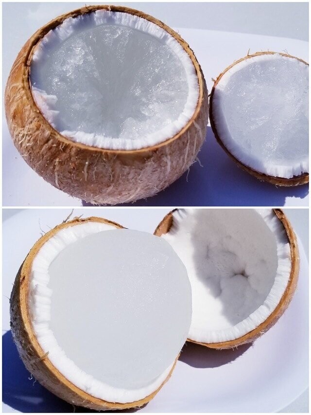 12. Если положить кокос в морозилку, он даст трещину, и его будет легко открыть