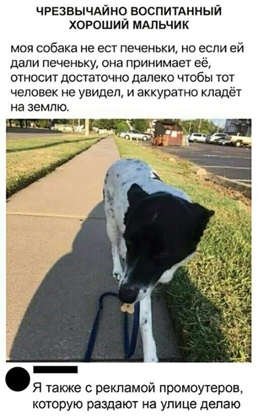 Прикольные и смешные картинки