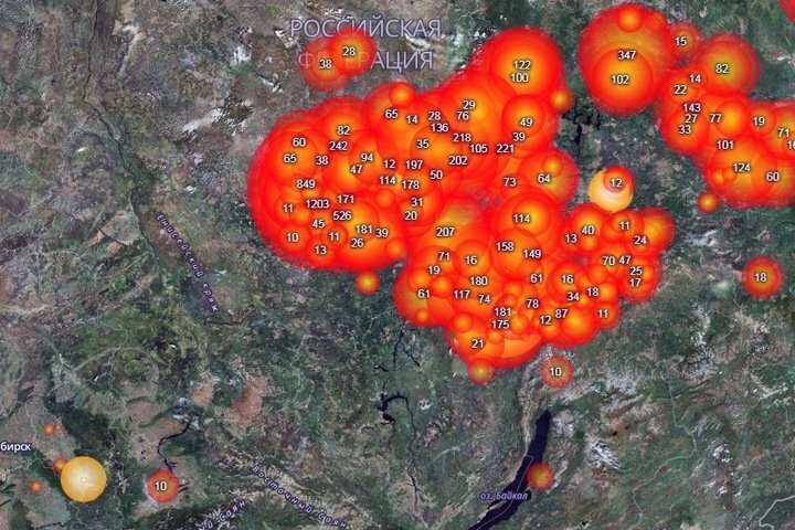 Попрощайся с лесом россиянин(ка),доброе утро