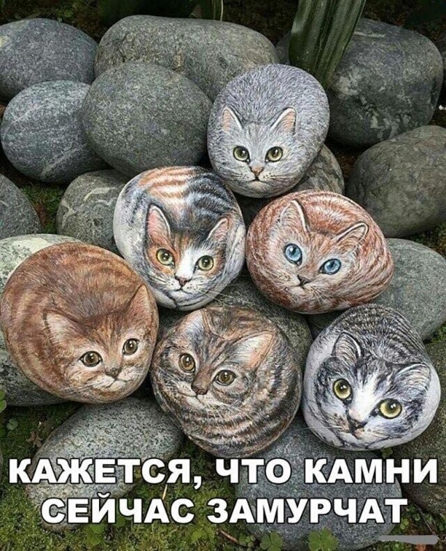 Смешные картинки