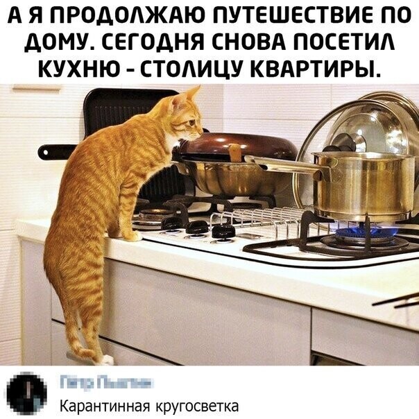 Смешные картинки