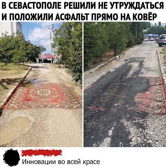 Прикольные и смешные картинки