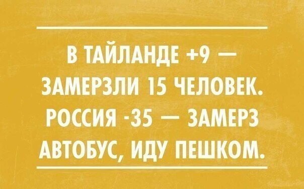 Смешные картинки от Чёрный кот за 07 июня 2020 08:32