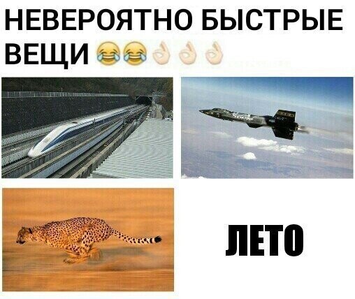 Смешные картинки