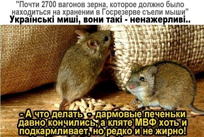 Политические комментарии из инета