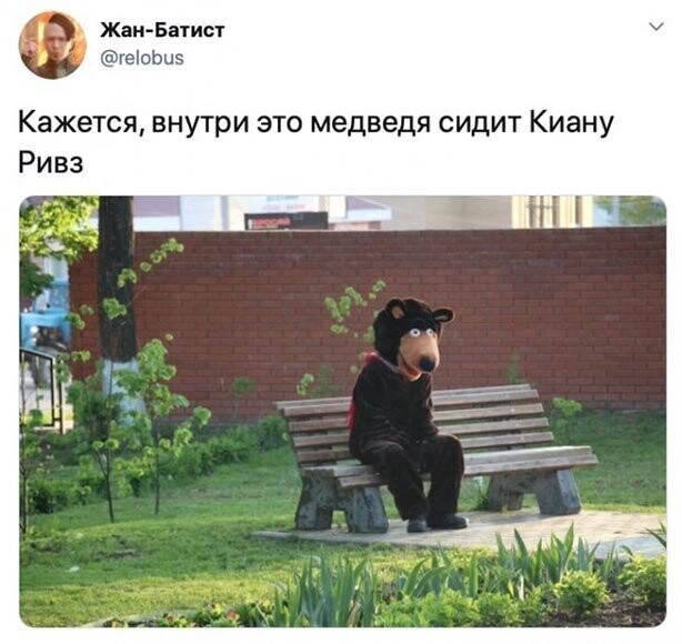 Прикольные и смешные картинки