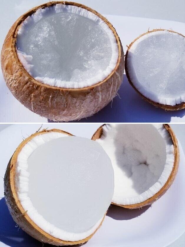 "Я узнал, что кокос можно легко разломить, если положить его в морозильную камеру"