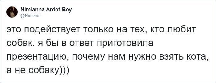 Однако будьте осторожны, не нарвитесь на кошатника!