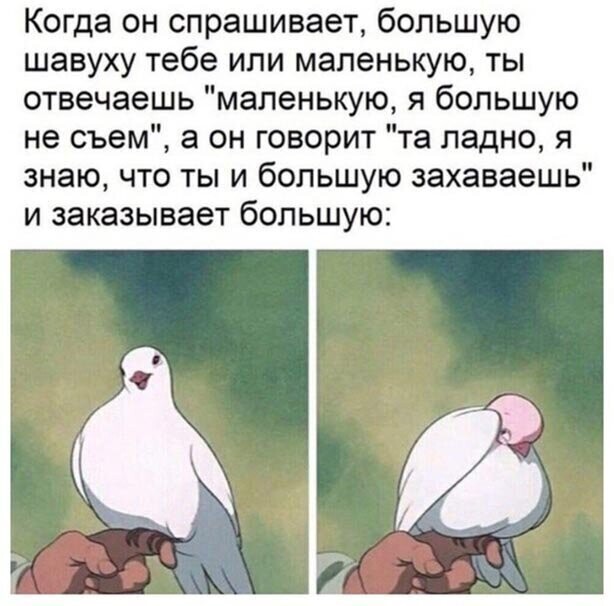 Прикольные и смешные картинки