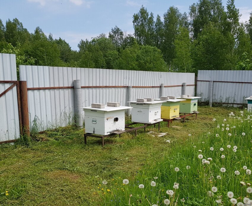 Доброго всем
