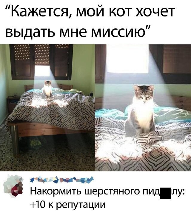 Смешные картинки