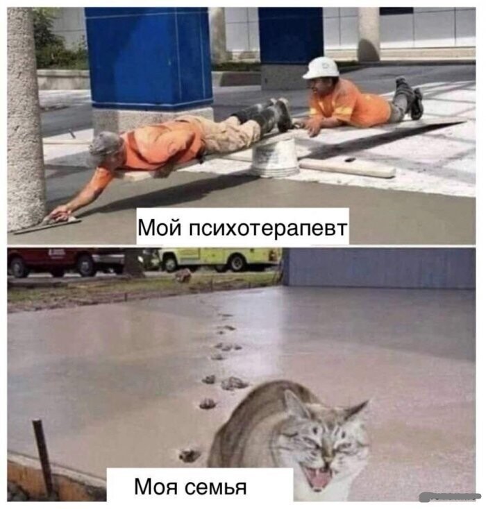 Смешные картинки