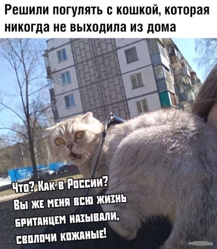 Смешные картинки