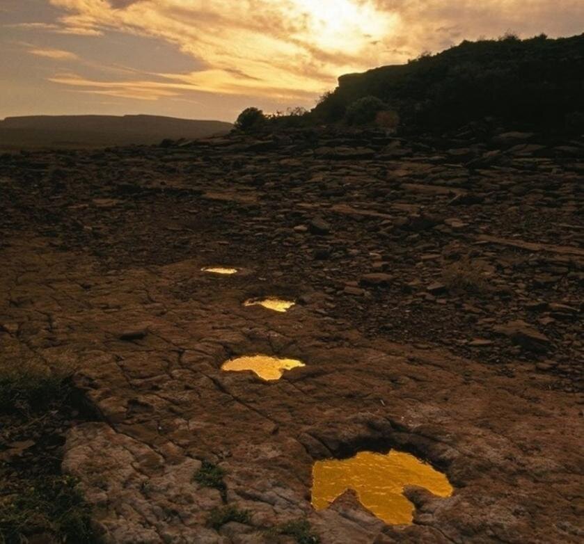 Эль-Чокон, Аргентина, сохранились следы динозавров