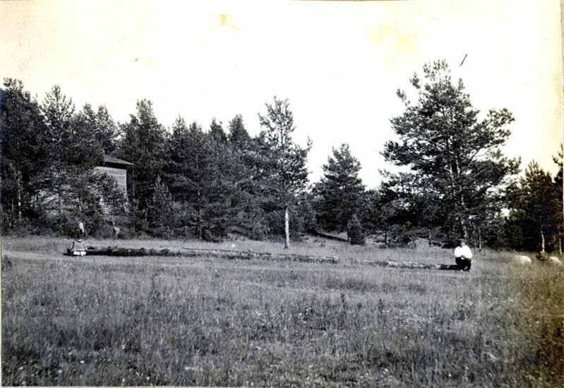 Вид на лес с поля. 1912 г.