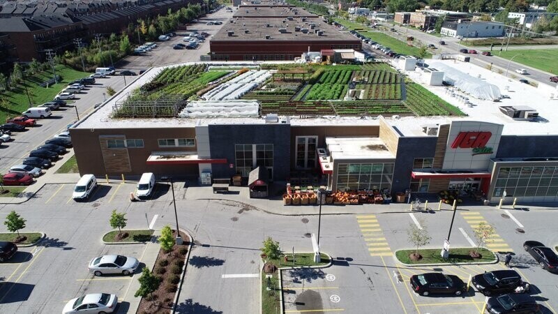 Канадский супермаркет разбил огород прямо на крыше