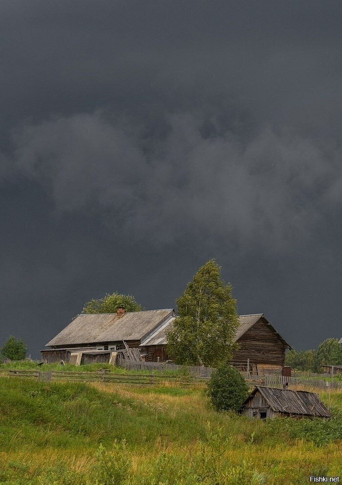 Перед грозой