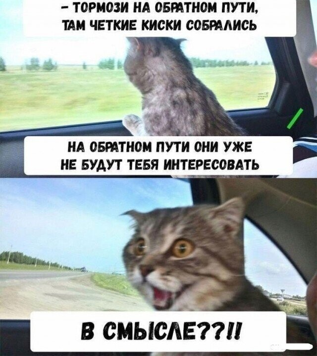 Смешные картинки