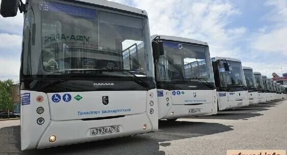 Башкирия получила от «КамАЗа» 50 автобусов, работающих на газовом топливе
