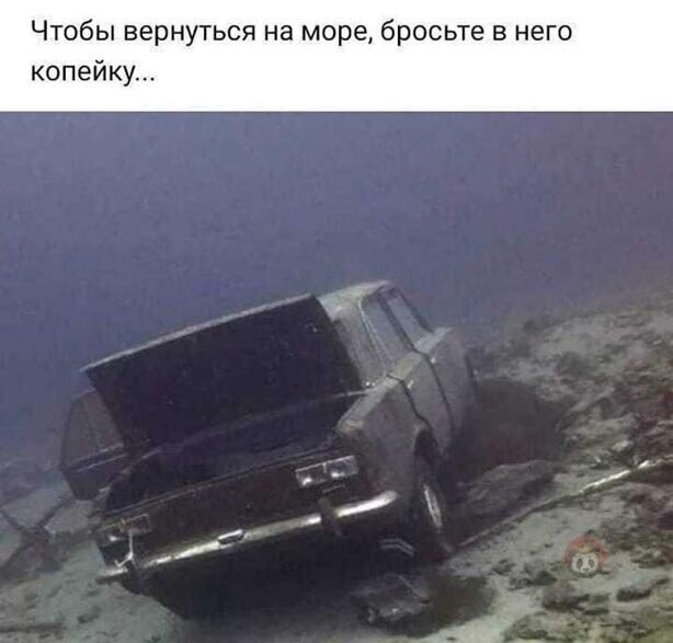 Прикольные и смешные картинки