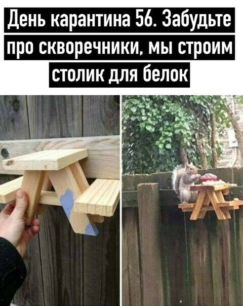 Смешные картинки