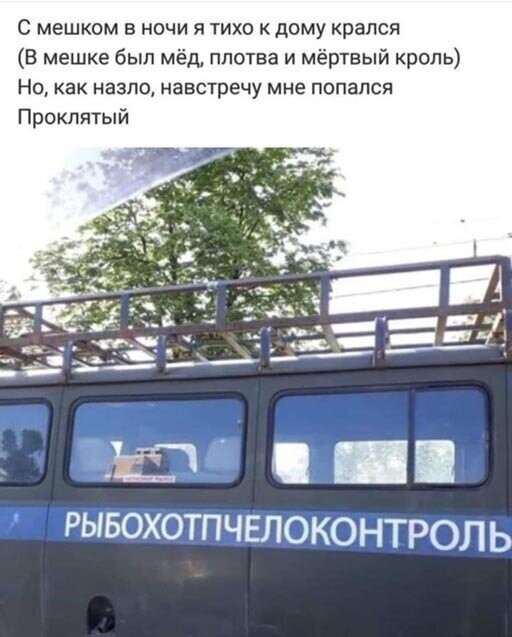 Прикольные и смешные картинки