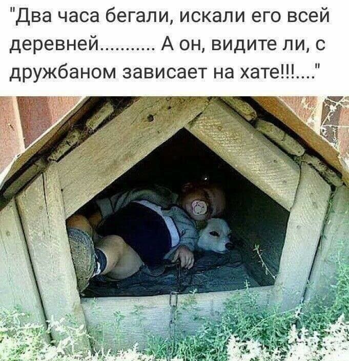 Смешные картинки и не очень