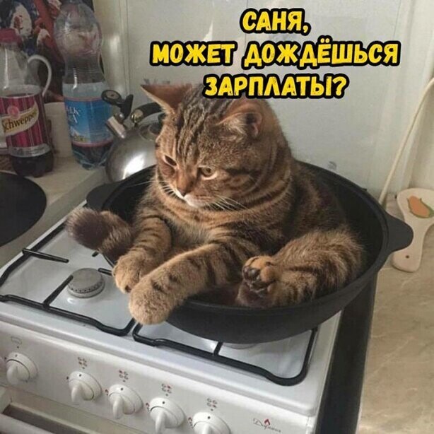 Прикольные и смешные картинки