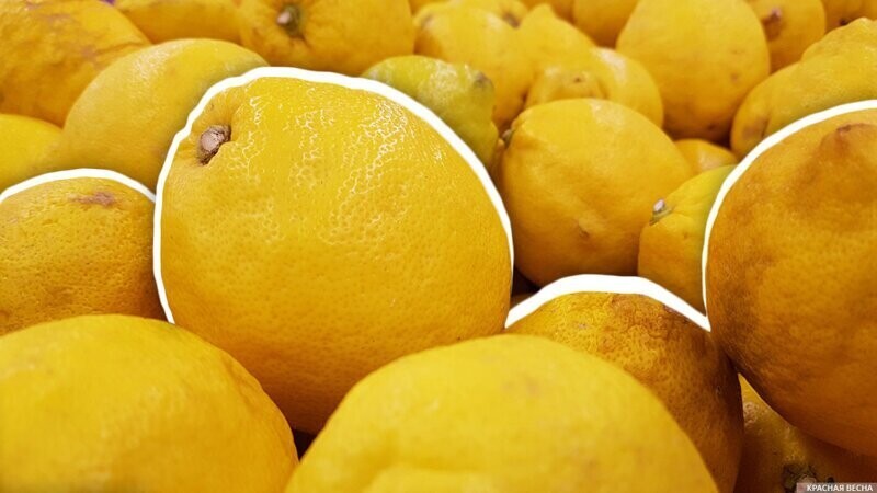 Лимоны как индикатор уровня коронавирусной истерии — фотоисследование