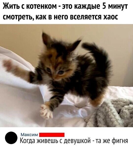 Смешные картинки