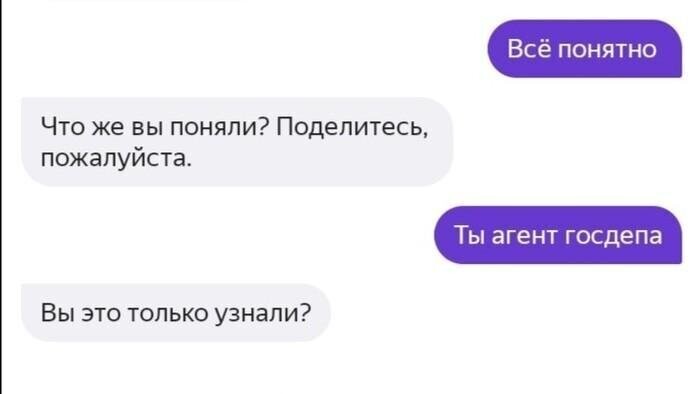 Алиса... что блин?!